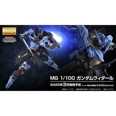 MG 1/100 高達維度爾