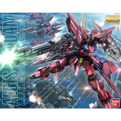 MG 1/100 神盾高達4573102629074